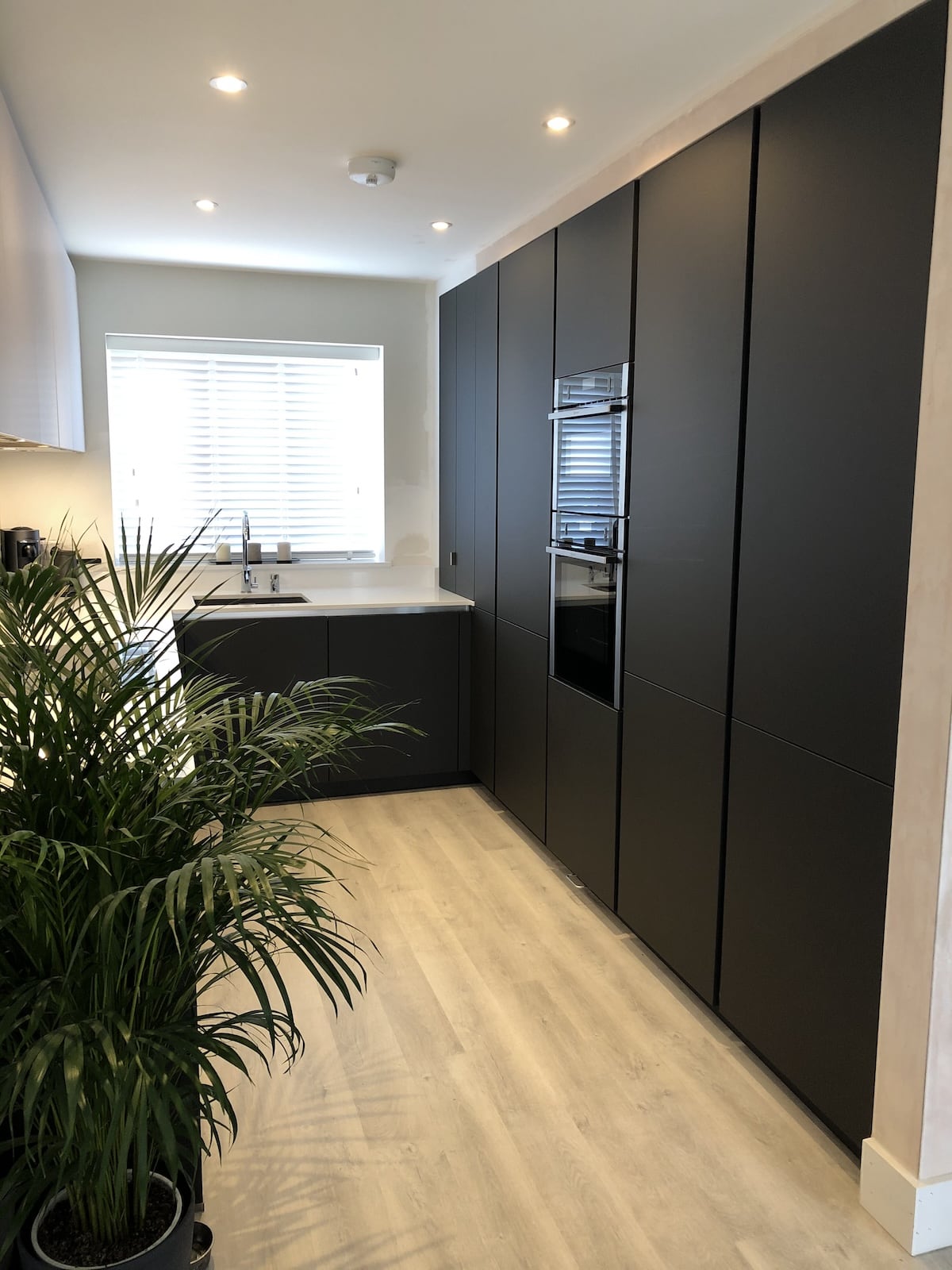 Modern black kitchen